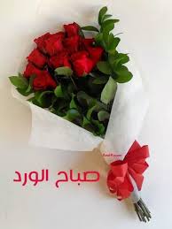 صباح الخير Happy Valentines Day Happy Valentine Tableware