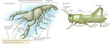 Maybe you would like to learn more about one of these? Figure 23 30