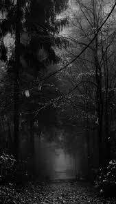 Despite the fact that this landscape is an urban area, it exudes a charm evocative of a country cottage. A T M O S P H E Re Dark Landscape Dark Photography Creepy Fog