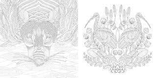 Product title millie marotta adult coloring book: Millie Marotta S Wildlife Wonders Favorite Illustrations From Coloring Adventures Millie Marotta Adult Coloring Book Marotta Millie Amazon De Books