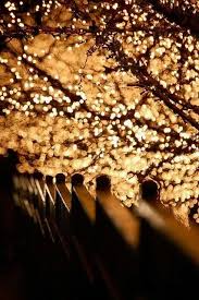 Pin By Anna Lola On Photography Bokeh Photography Light Photography Lights