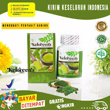 Disebut penyakit kuning oleh masyarakat indonesia, karena ditandai mata, telapak tangan, selaput lidah, urin (air kencing), hingga kulit yang sedangkan pada orang dewasa biasanya disebabkan karena adanya masalah, gangguan, atau kelainan pada hati, liver, kantong empedu, hingga saluran. Keloreena Mengobati Penyakit Kuning Penyakit Kuning Orang Dewasa Penyakit Kuning Pada Anak Kecil Menyehatkan Mata Lazada Indonesia