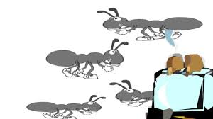 Portland me exterminator, pest control & termite inspector. Ant Man Pest Control Inc Serving Portland And Southern Maine