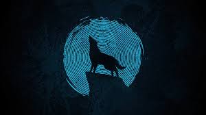 We did not find results for: Wolf Minimalist 4k Wallpaper 6 2197