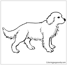 Another essential characteristic is proper temperament. Golden Retriever Puppy Coloring Pages Puppy Coloring Pages Free Printable Coloring Pages Online