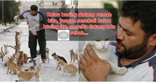 Apalagi kalau kucing tersebut lupa lama nggak makan enak, jangan salahkan kalau ikan asin di meja makan kena embat. Kalau Kucing Datang Rumah Jangan Sesekali Hal4u Kucing Mereka Datang Ada Sebab Satkoba Press