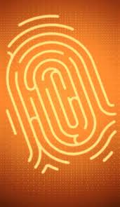 Het moment dat ik niks meer van de opdrachten snap, valt elk jaar vroeger. De Mol Belgie Hints Theorieen Home Facebook