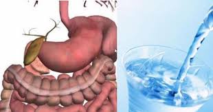 清潔胃壁 大小腸 疏通血脈全靠這杯水 我確實做了一週 從頭到腳都變完美了 真的很簡單 health