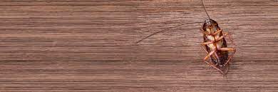03/14/2021 what is the total square footage of the area you want your patio and sidewalk to cover? Pest Control Solutions In Michigan Griffin Pest Solutions