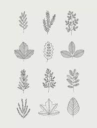 From the list of suitable plants, make selections according to the basic principles of flower garden design. 30 Easy Ways To Draw Plants Leaves Leaf Drawing Plant Drawing Leaf Doodles