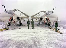 Image result for Gray 1983 Fleet