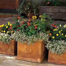 Discover outstanding annuals for strong seasonal color, including tips on when and how to plant. How To Pot A Plant And Create A Container Garden This Old House