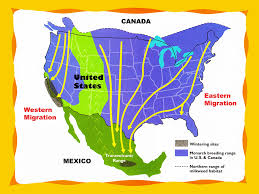 Annual Monarch Migration Map Butterfly Migration Monarch Butterfly Migration Monarch Butterfly