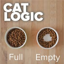 Cat Logic This Is So True And They Even Have A Uniquely Loud And Desperate Meow To Go Along With It Cat Food Bowl Funny Animal Pictures Funny Animal Photos