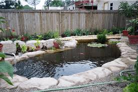 Maybe you would like to learn more about one of these? 15 Best Koi Pond Ideas For Your Garden With Pictures The Tilth