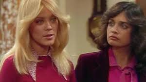 Too Close for Comfort (TV Series 1980–1987)