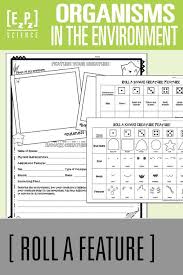 Create A Creature Organisms In The Ecosystems Dice Roll Activity Ecosystems Ecosystem Activities Ecosystems Unit
