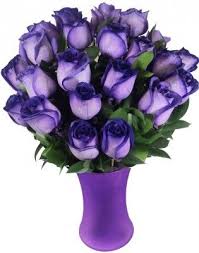 Pin On Roses