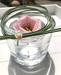 Schnelle Einfache Deko Schwimmenden Blumen Sommerdeko Deko