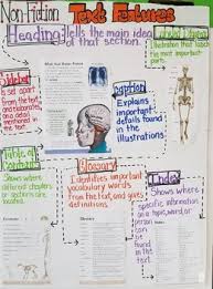 Skeletons Inside And Out Non Fiction Text Features Anchor Chart