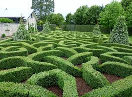 Ann And Graeme Sutton S Knot Garden At Matangi Near Hamilton