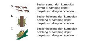Pada saat itu seekor semut lewat, membawa dengan susah payah butir jagung yang dia bawa ke sarangnya. Tentukan Kata Sapaan Yang Terdapat Di Dongeng Semut Dan Belalang Jawaban Buku Tema 7 Kelas 2 Sd Halaman All Tribun Pontianak