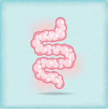 Image result for Flatulence