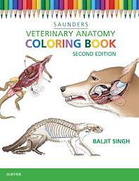 There are various gifts available in the market. 15 Great Gifts For Vet Students To Adore In 2021
