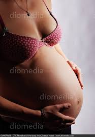 Image result for Gravidity