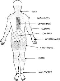 Check spelling or type a new query. Generic Body Diagrams And The 9 Musculoskeletal Body Regions Download Scientific Diagram