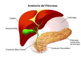 Recetas De Comida Para Diabeticos Que Es La Diabetes Comidaparadiabeticos Re Comida Para Diabeticos Recetas Enfermedades Del Pancreas Dietas Para Diabeticos