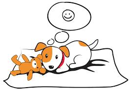 Dog Walking, Training, and Sitting