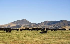 Great american el paso menu, great american land and cattle seasoning, land cattle yarbrough, site:zomato.com american land, great american yarbrough. Senate Approves Great American Outdoors Act To Fund Federal Land Upkeep And Land Purchases Thefencepost Com