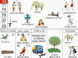 Nomor Burung Walet Dalam Togel Bird Wallpaper