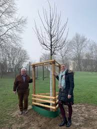 Grun Und Gruga Pflanzt Neue Baume Auf Dem Kinderspielplatz Brosweg In Heidhausen Essen De
