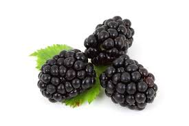 Image result for Berry