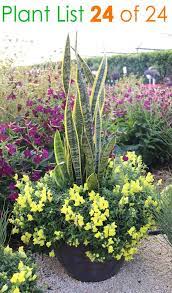 pin on roof deck decor herb gardens pots and baskets for plants