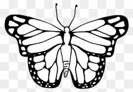 Butterfly clipart black and white. Life Cycle Of A Butterfly Clipart Black And White Clipart Butterfly Cycle Black And White Free Transparent Png Clipart Images Download