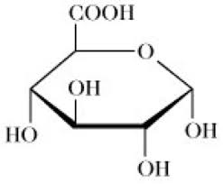 D Glucuronsaure Lexikon Der Biochemie