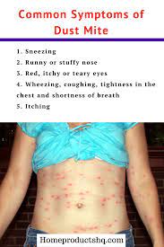 5 Practical Tips To Get Your Home Free Of Dust Mite And Other Allergies Dust Mites Dust Mite Allergy Mites