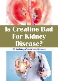 Renal Failure Food Kidney Disease Symptoms Polycystic Kidney Disease Kidney Disease