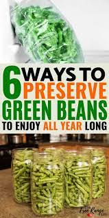 Reserve broth for another use. 6 Ways Preserve Green Beans From Your Garden
