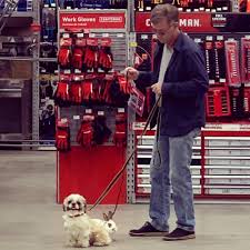 Check spelling or type a new query. Saw This Guy Walking His Doggo And Bunny At The Store He Said It Was His Dogs Bunny That His Dog Fell In Love It At A Flea Market An Pet