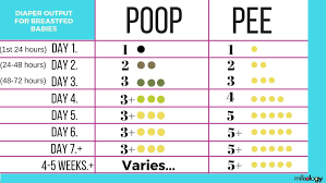 Sometimes twice in an hour. How Often Should A Breastfed Baby Poop Milkology
