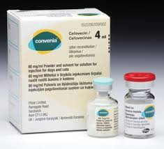 Zoetis Launches Convenia In 4ml Vial Vet Times