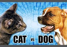 Because of this, cats have no need to work together to care for themselves. Are Dogs Better Then Cats Debate Org