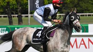 They are lighter, more durable in comparison to real leather. Jockey Star Muzarbayev Gewinnt Galopprennen In Serie