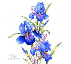 Blue Iris Watercolor Flower Painting Handmade Original Art Etsy In 2020 Watercolor Flowers Paintings Iris Drawing Iris Painting