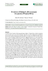 Image result for Xylopia lukei