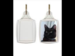Passport photos that can be printed for the much lower price of $0.33! A5 Tour Passport Size Keyrings Blank Keyrings